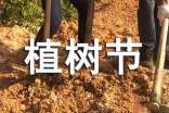 3.12植树节新闻稿