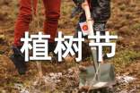 公司植树节新闻稿（精选12篇）