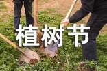 植树节新闻稿（精选21篇）