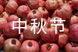 我家的中秋节作文(通用47篇)
