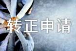 it转正申请自我鉴定