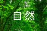 关于写一处自然景观作文300字（精选34篇）