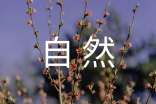 描写大自然风光的段落