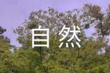 写一处自然景观作文400字（精选45篇）