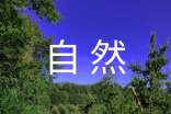 写一处自然景观作文