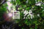 写一处自然景观作文通用15篇