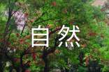 关于写一处自然景观作文