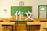 午后的阳光作文500字3篇