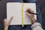 考察百年老店之状元馆作文