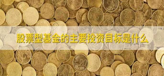 股票型基金的主要投资目标是什么