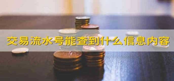 交易流水号能查到什么信息内容