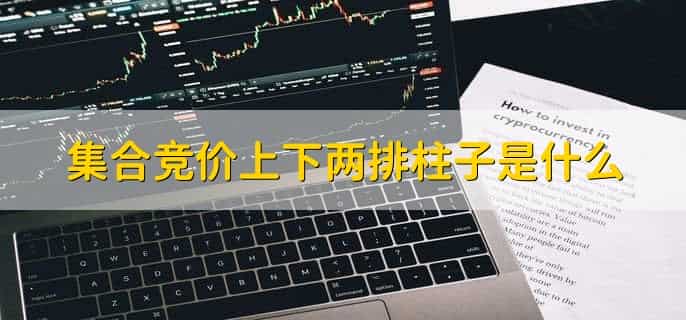 集合竞价上下两排柱子是什么