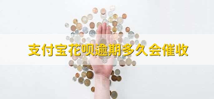 花呗逾期会影响老公的银行贷款吗