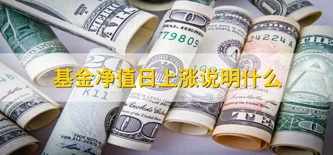 基金日收益怎么算