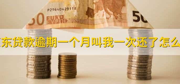 京东贷款逾期一个月叫我一次还了怎么办