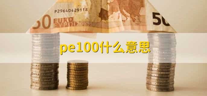 pe100什么意思