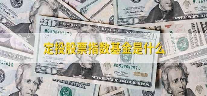 定投股票指数基金是什么