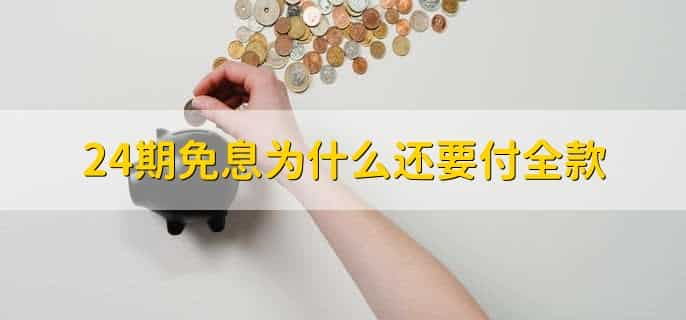 24期免息是什么套路