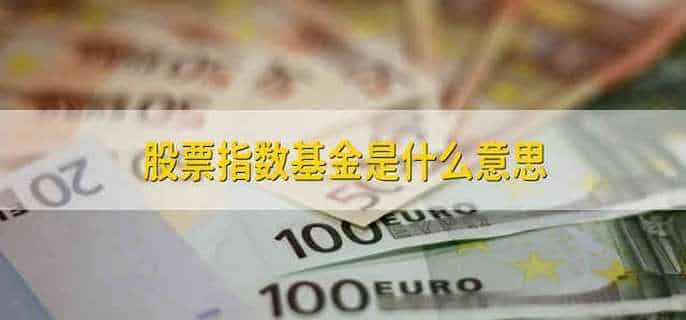 股票指数基金是什么意思