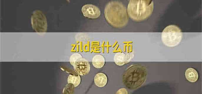 zild是什么币