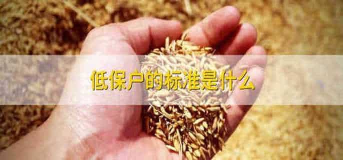 低保户的标准是什么