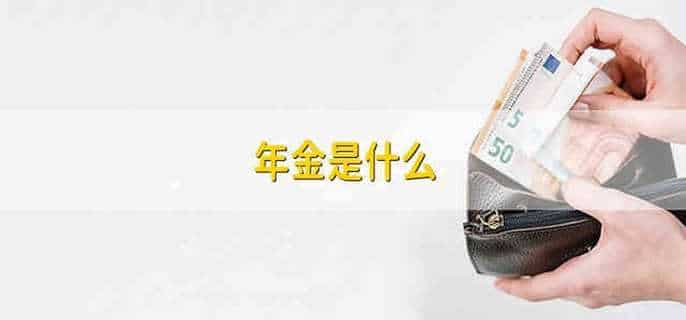 年金是什么