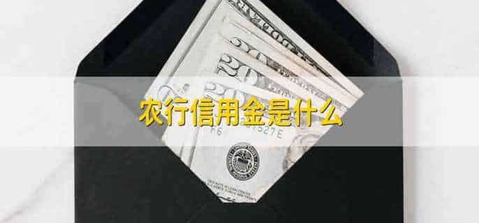 农行信用金是什么