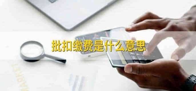批扣缴费是什么意思