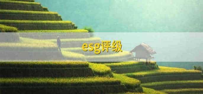 esg评级