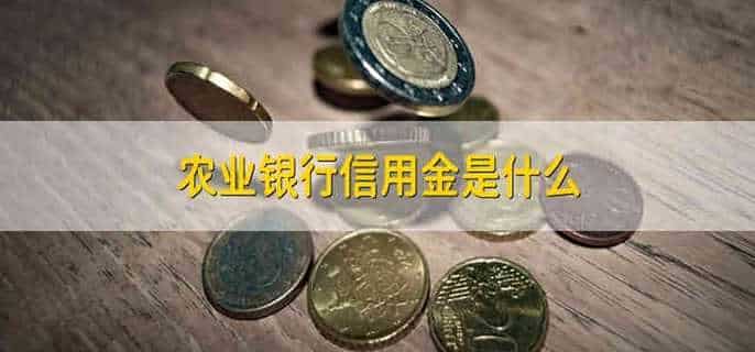 农业银行信用金是什么