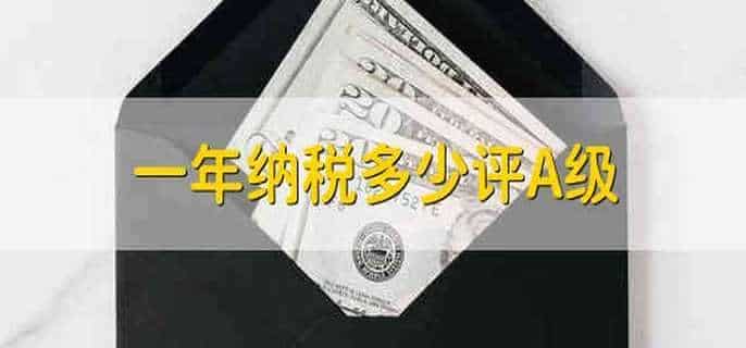 一年纳税多少评A级