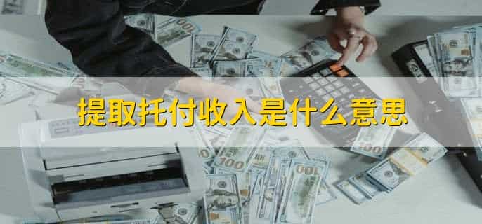 提取托付收入是什么意思
