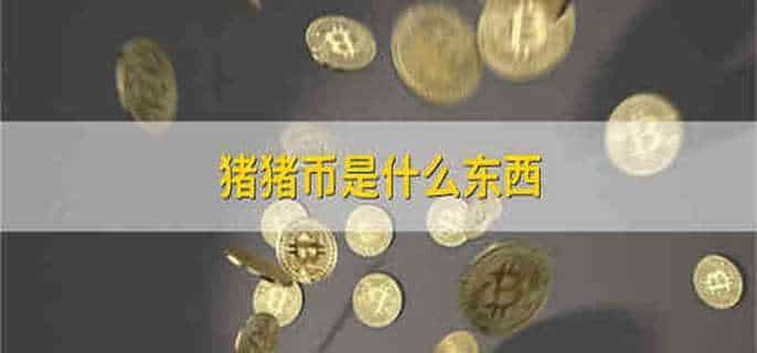 猪猪币是什么东西