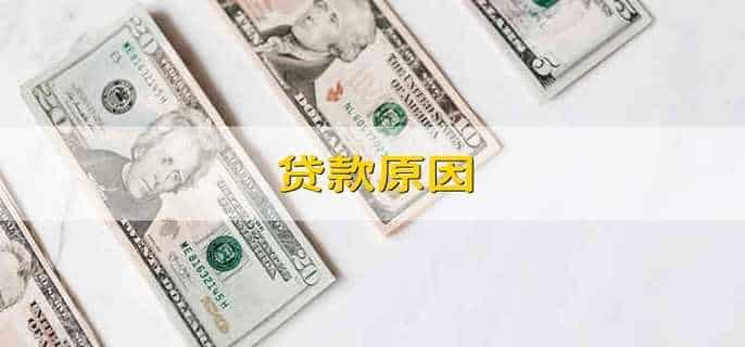 贷款原因