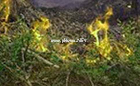 认识火灾学会逃生优秀作文（精选24篇）