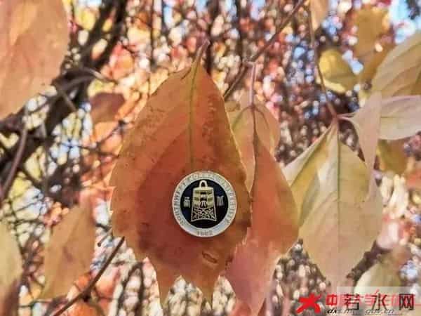 微信图片_20210610113021.jpg 微信图片_20210610113021.jpg