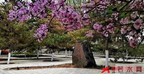 微信图片_20210610113024.jpg 微信图片_20210610113024.jpg