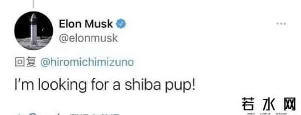 秋田犬币,柴犬币上线大涨刷屏币圈！炒币者坦言：知道在“炒空气”，难敌一夜暴富诱惑