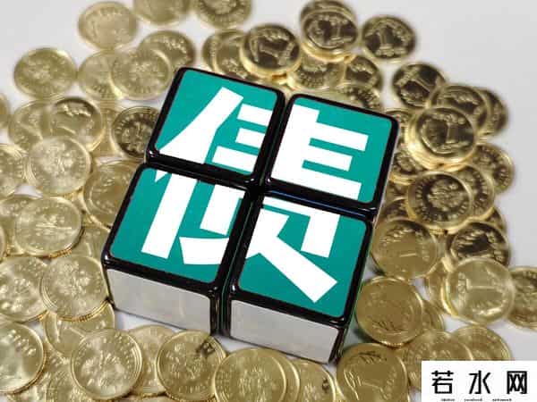 国债是什么意思啊