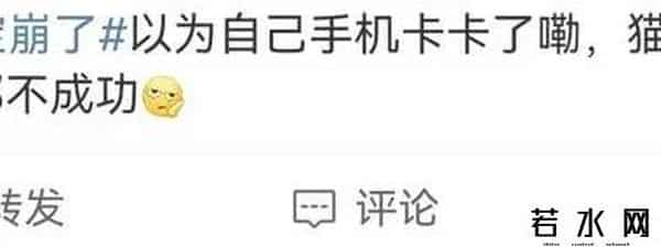 支付宝正式收归国有