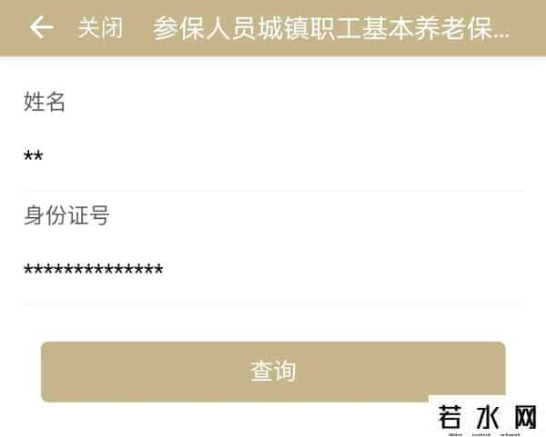 上海综合保险缴费查询