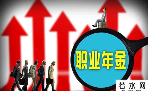 职业年金是什么东西