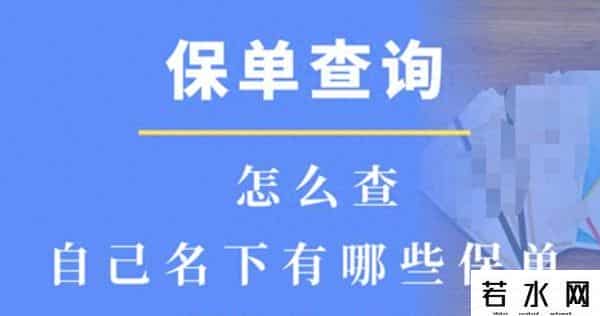 寿险保单查询