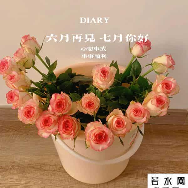 单位净值是什么意思
