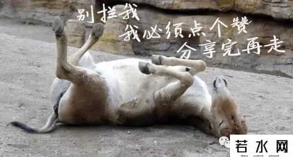 工行异地转账手续费