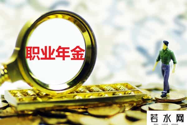 职业年金是什么东西