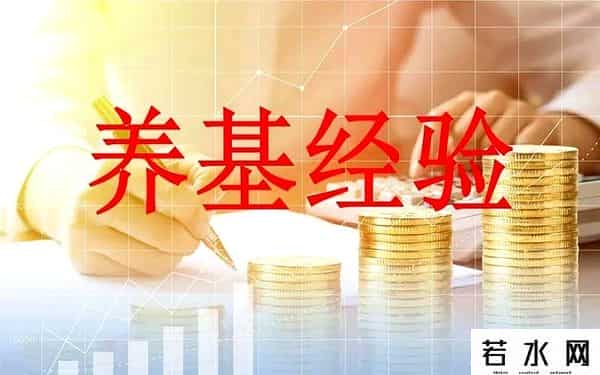 基金几号开市