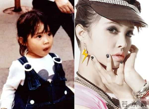 高圆圆为什么被叫做炮台