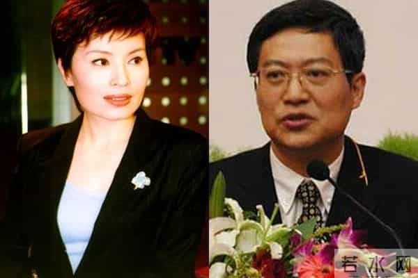 杨澜为李天一喊冤