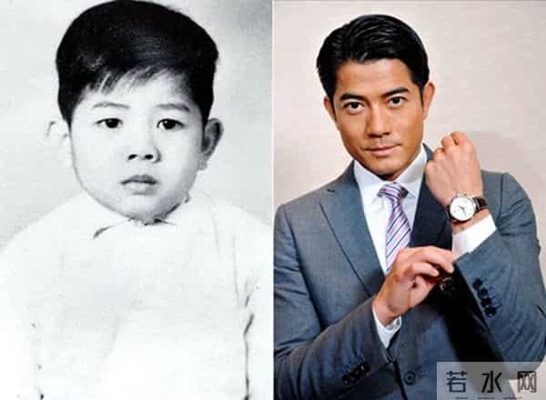 高圆圆为什么被叫做炮台